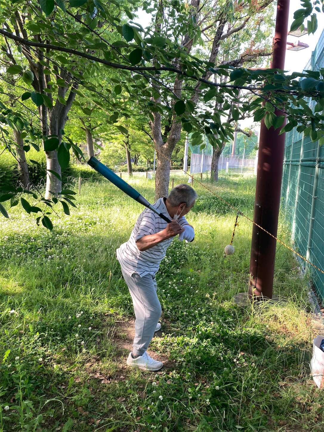 f:id:moomoon6355:20240518143827j:image f:id:moomoon6355:20240518143827j:image