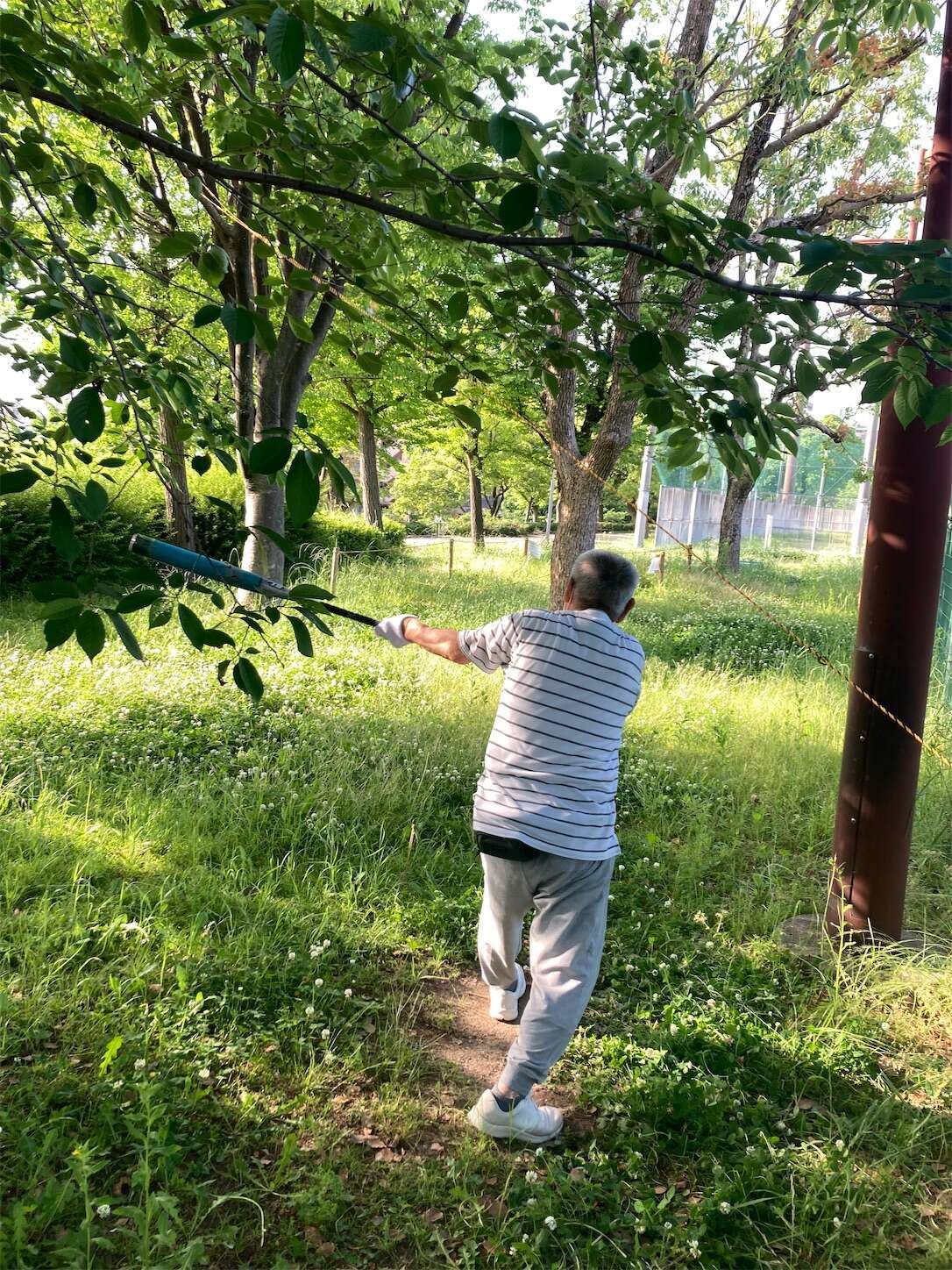 f:id:moomoon6355:20240518144748j:image f:id:moomoon6355:20240518144748j:image