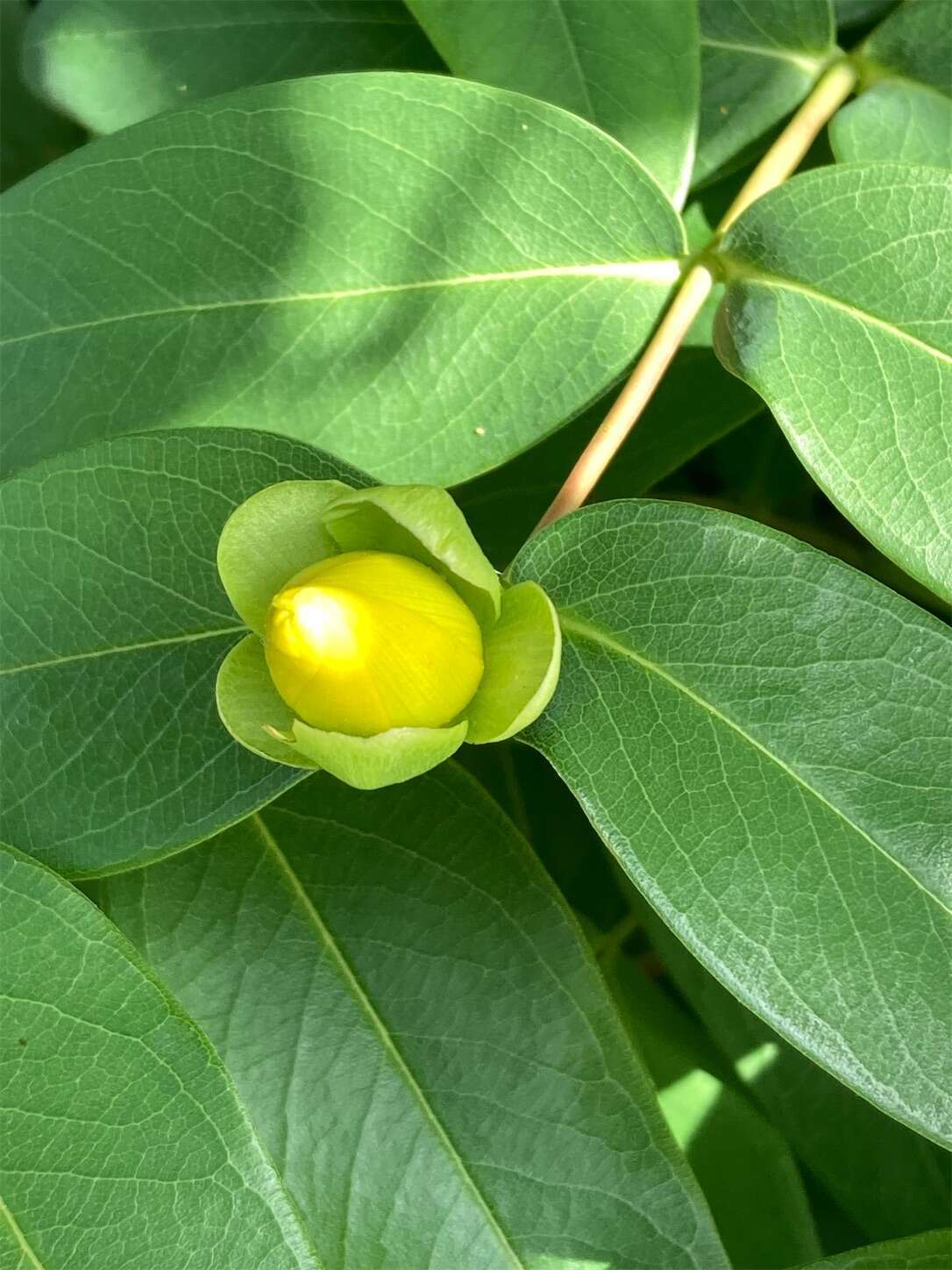 f:id:moomoon6355:20240518145039j:image f:id:moomoon6355:20240518145039j:image