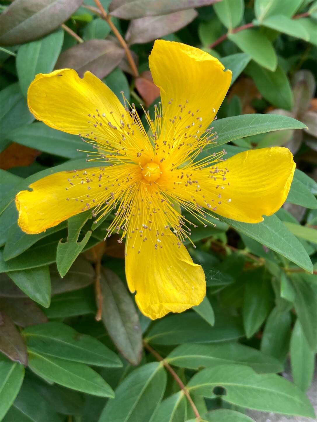 f:id:moomoon6355:20240518145054j:image f:id:moomoon6355:20240518145054j:image