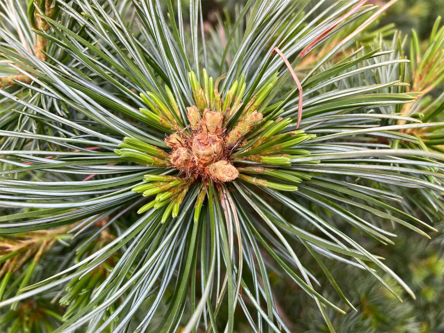 f:id:moomoon6355:20240518145058j:image f:id:moomoon6355:20240518145058j:image