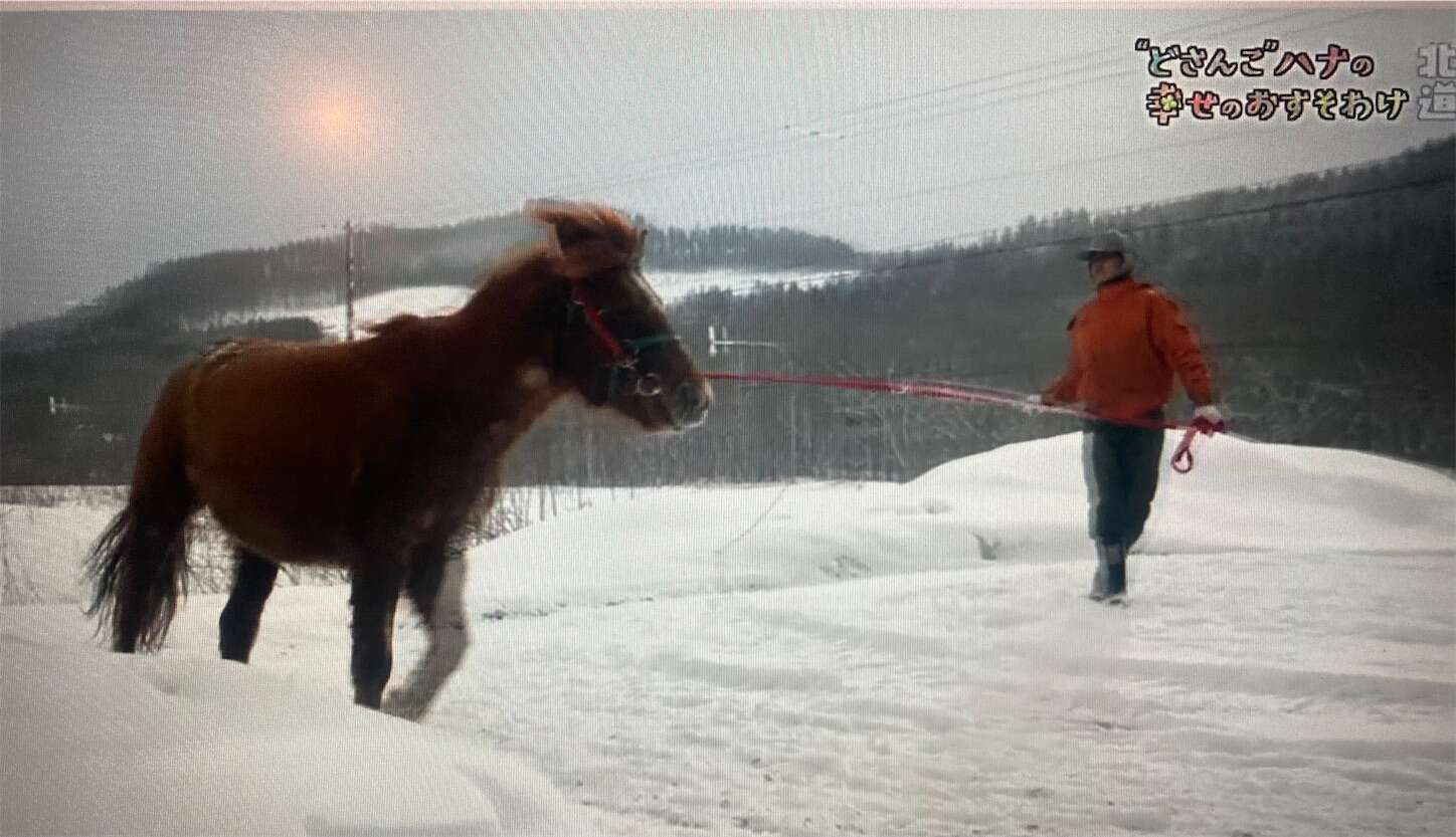 f:id:moomoon6355:20240518151411j:image f:id:moomoon6355:20240518151411j:image