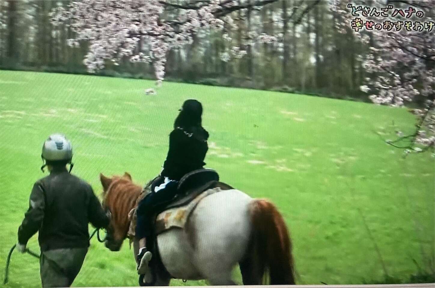 f:id:moomoon6355:20240518151417j:image f:id:moomoon6355:20240518151417j:image