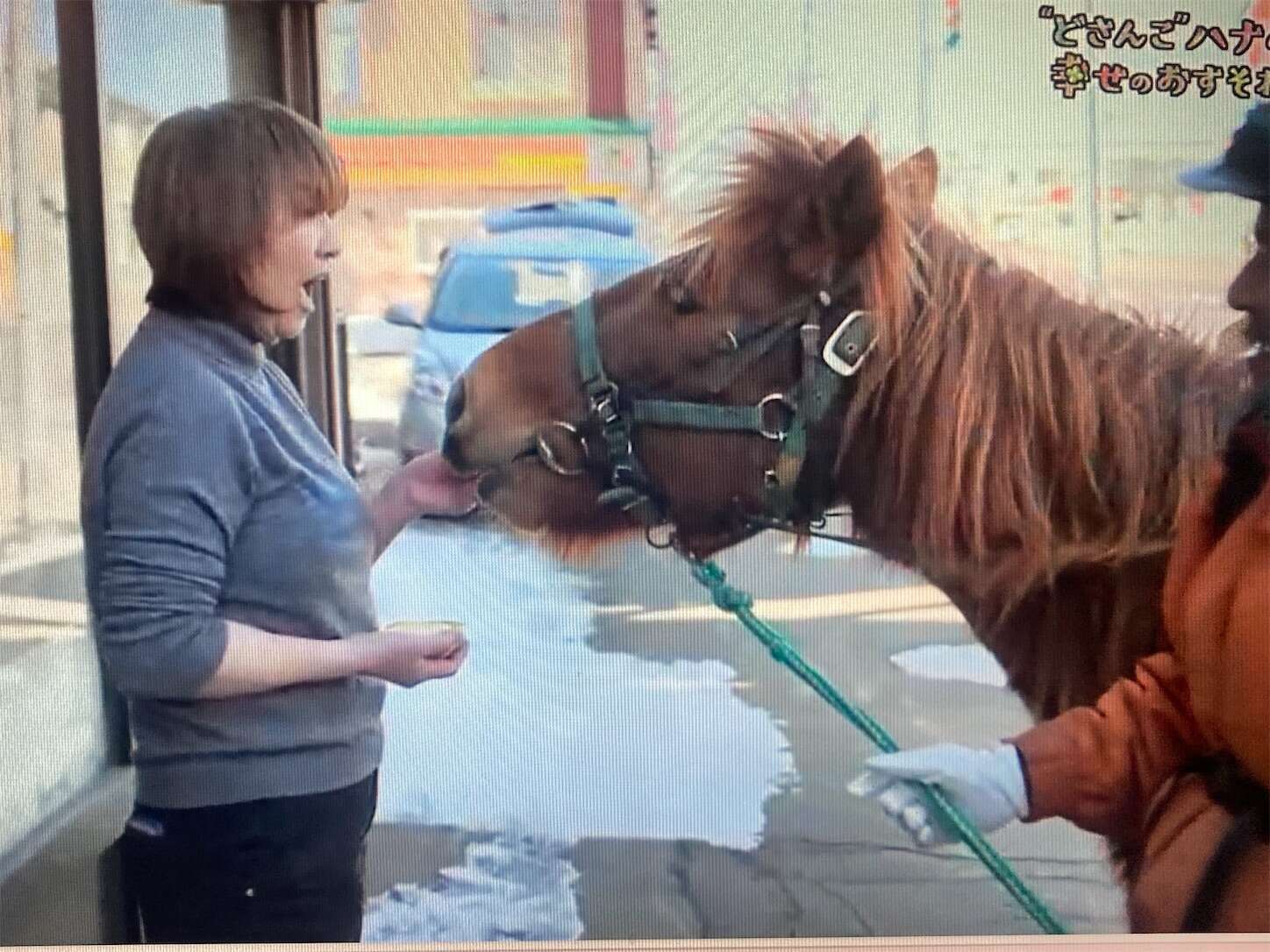 f:id:moomoon6355:20240518151420j:image f:id:moomoon6355:20240518151420j:image