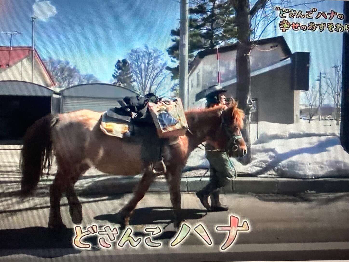 f:id:moomoon6355:20240518151431j:image f:id:moomoon6355:20240518151431j:image