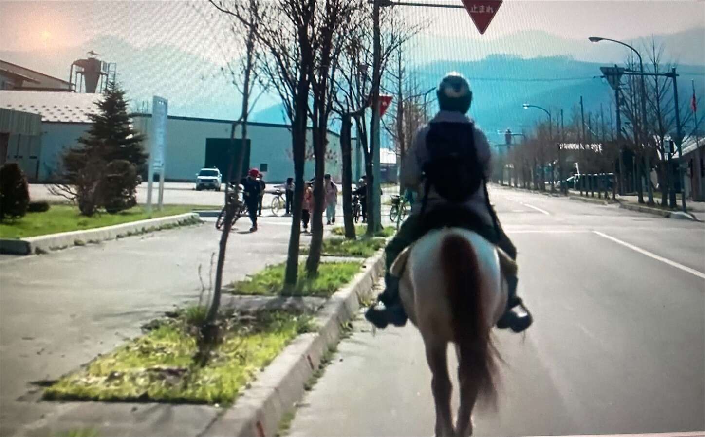 f:id:moomoon6355:20240518151440j:image f:id:moomoon6355:20240518151440j:image