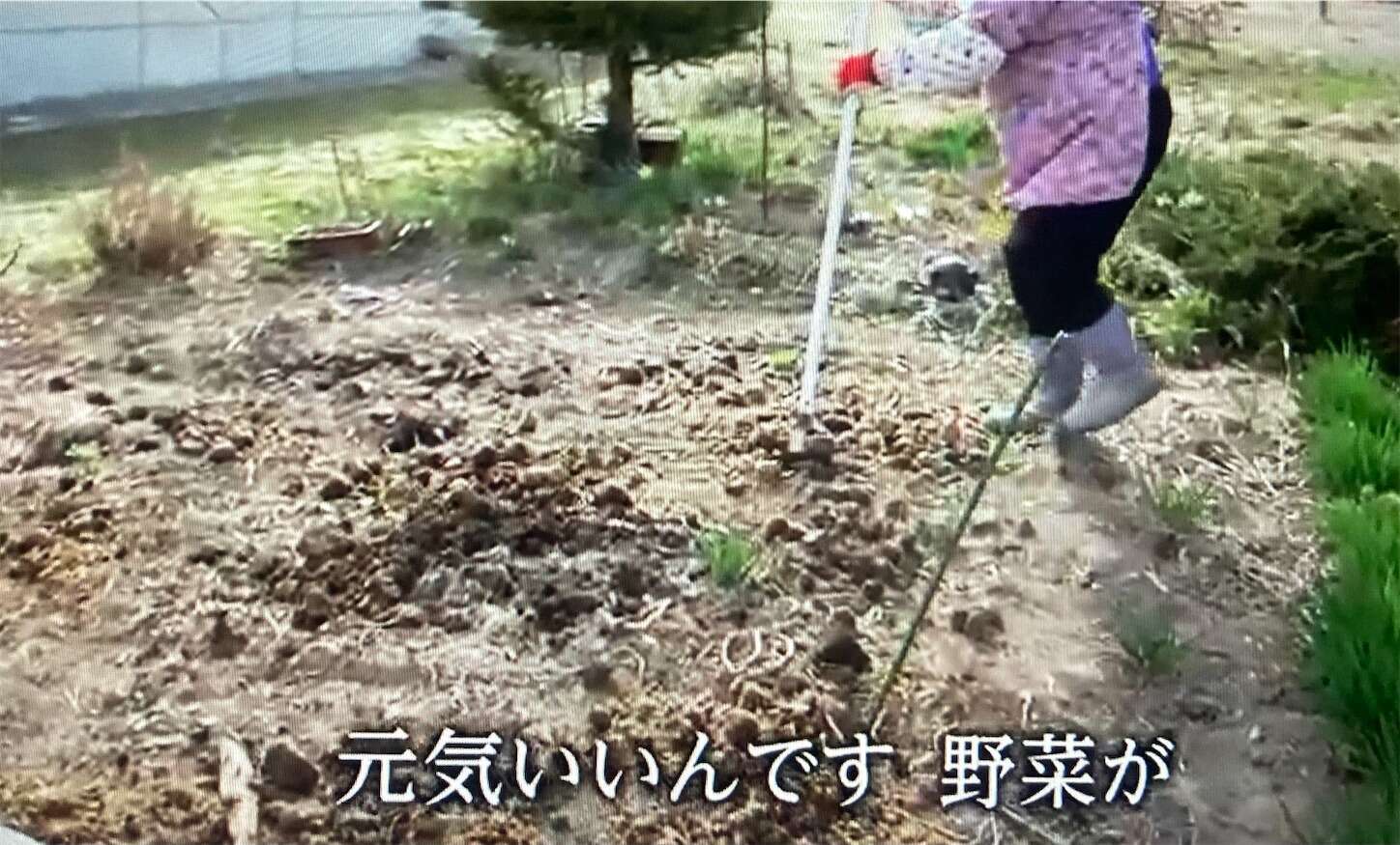 f:id:moomoon6355:20240518151445j:image f:id:moomoon6355:20240518151445j:image