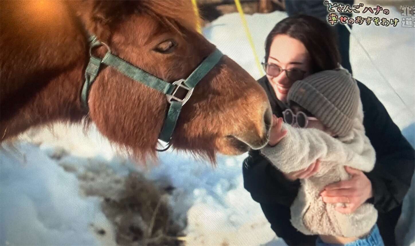 f:id:moomoon6355:20240518151448j:image f:id:moomoon6355:20240518151448j:image