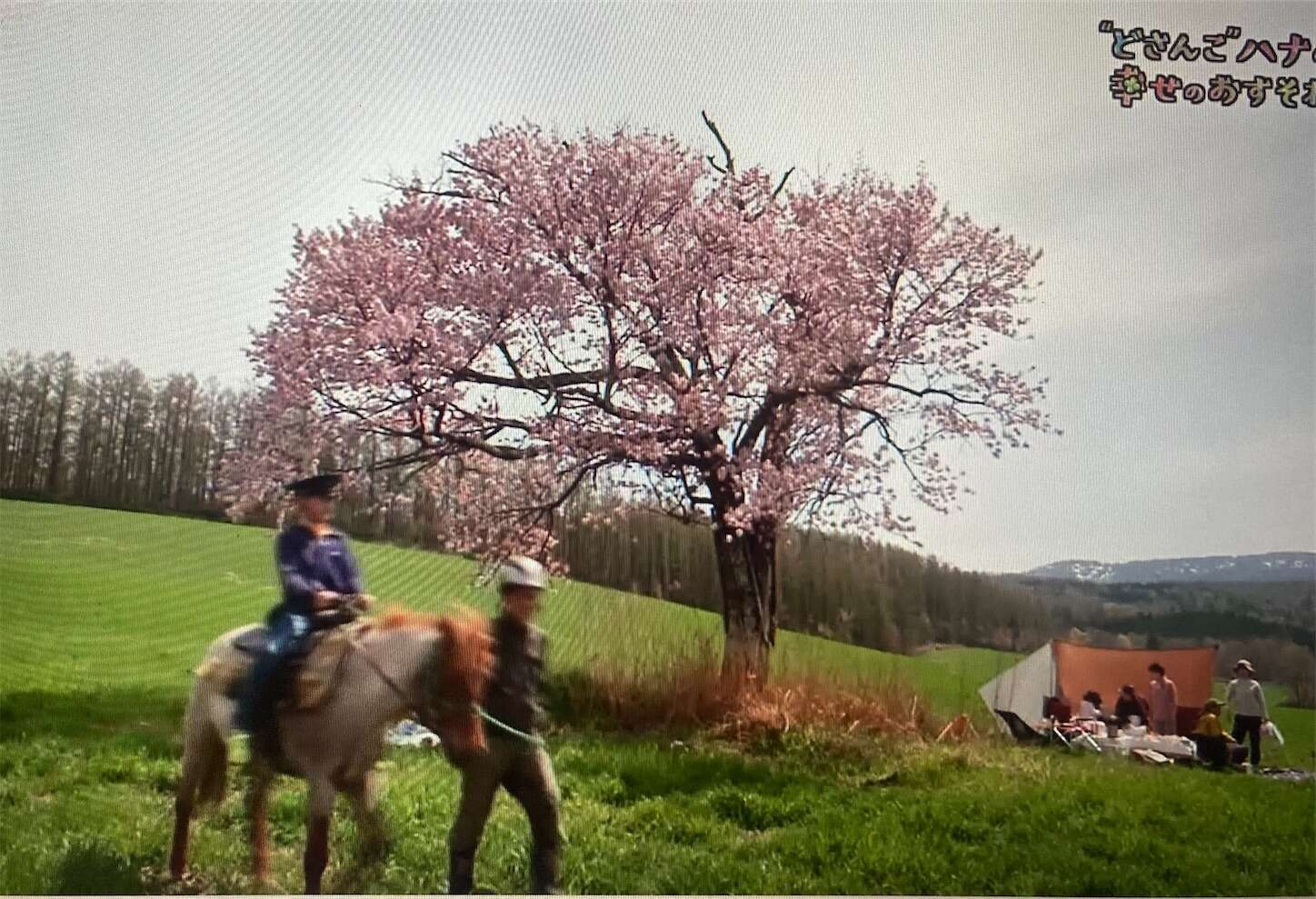 f:id:moomoon6355:20240518151451j:image f:id:moomoon6355:20240518151451j:image