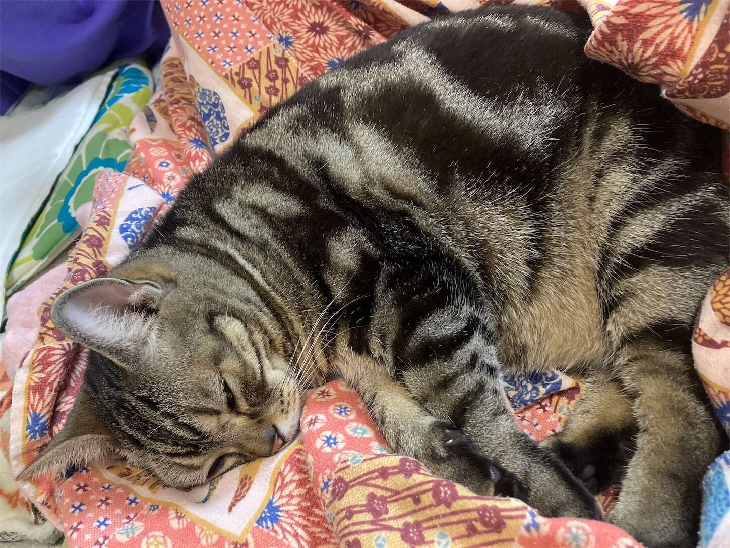 f:id:moomoon6355:20240518152304j:image f:id:moomoon6355:20240518152304j:image