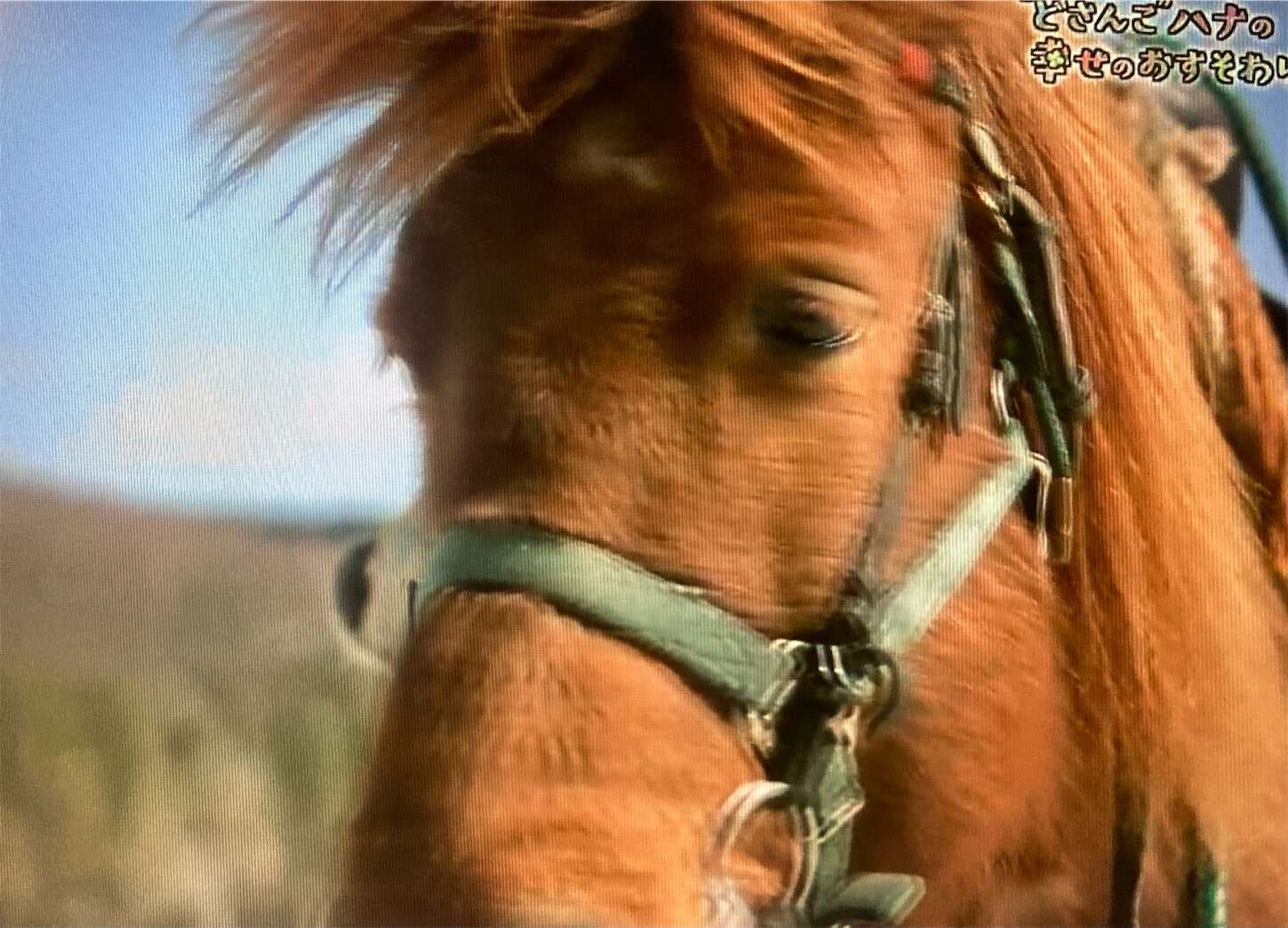 f:id:moomoon6355:20240518164203j:image f:id:moomoon6355:20240518164203j:image