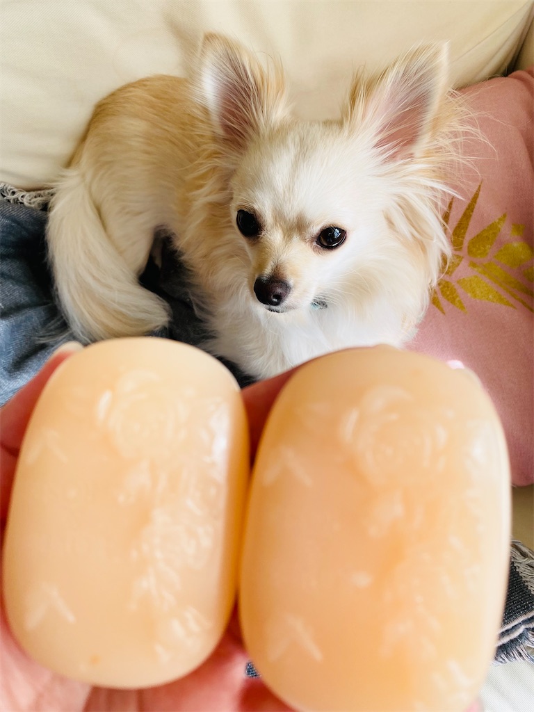 f:id:moon-river-eternity0315:20211106100945j:image