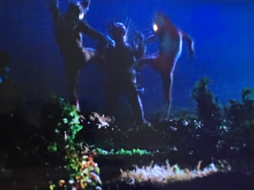 f:id:moon-tiara-action:20180314140813j:plain