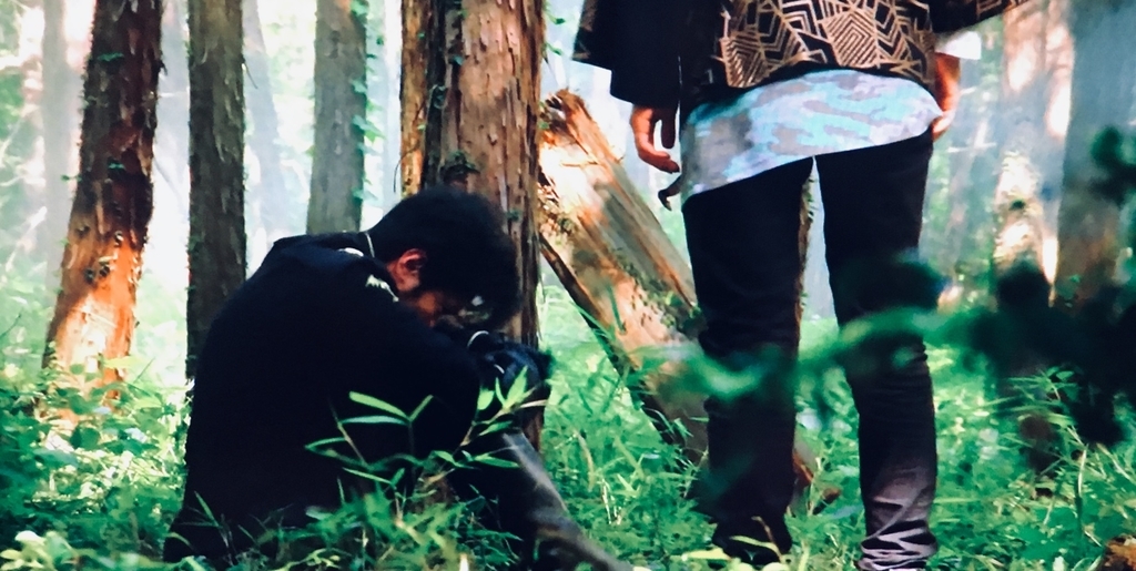 f:id:moon-tiara-action:20181114143329j:plain