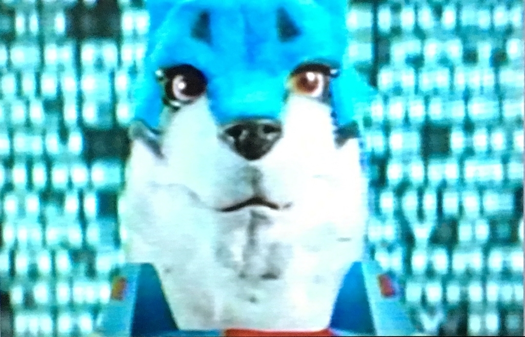 f:id:moon-tiara-action:20181212114651j:plain