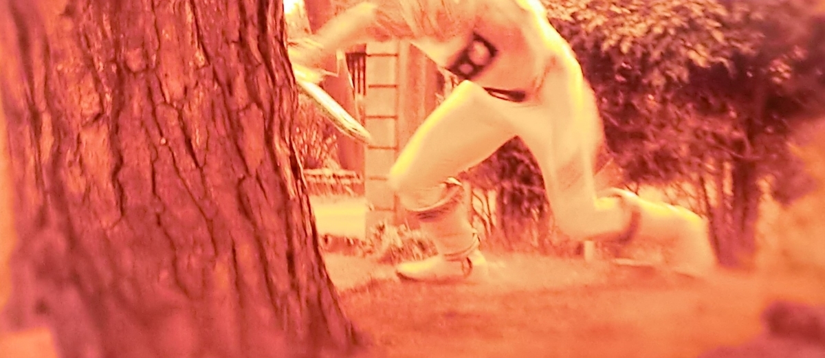 f:id:moon-tiara-action:20210119173235j:plain