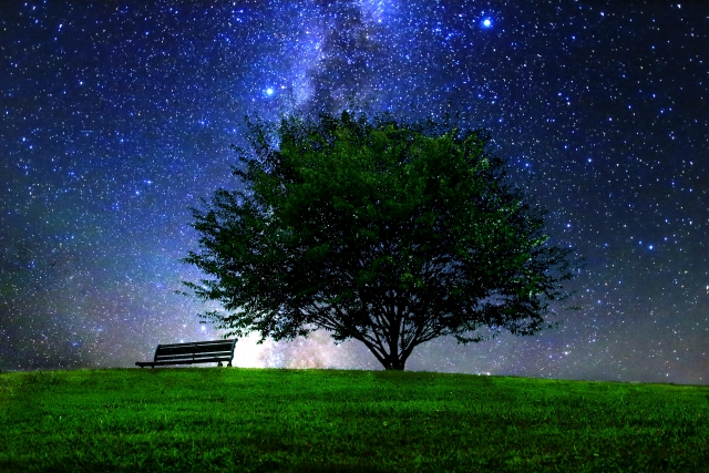 f:id:moon01book:20191230152919j:plain