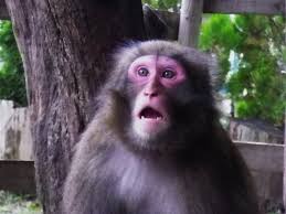 f:id:moon77777:20170603133920j:plain