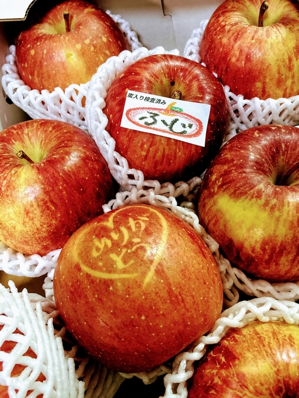 f:id:moon_memory_m:20210101153559j:plain