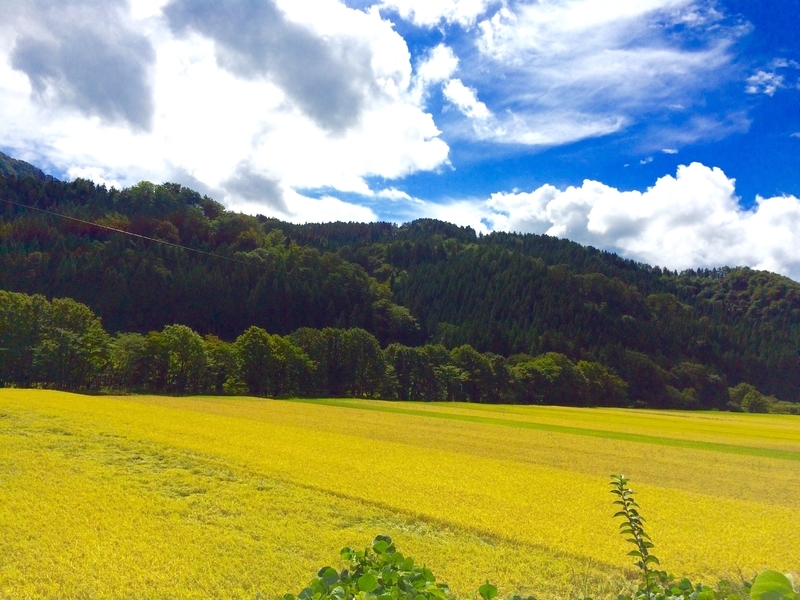 f:id:moon_memory_m:20210401002622j:plain