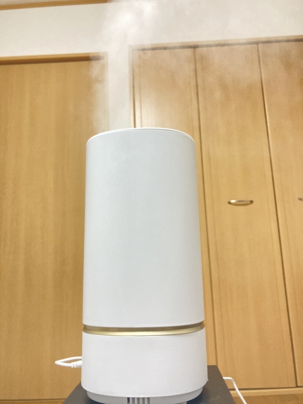 f:id:moon_memory_m:20220213165159j:plain