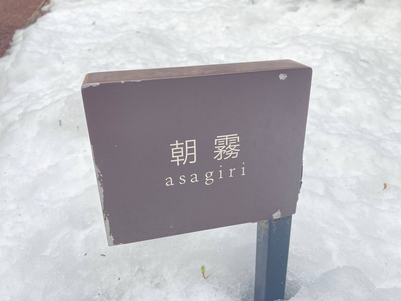 f:id:moon_memory_m:20220307233410j:plain