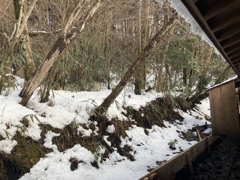 f:id:moon_memory_m:20220313180433j:plain