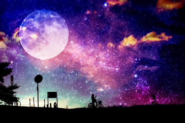f:id:moon_tuki:20200903204744j:plain