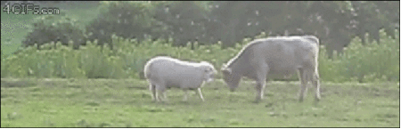 f:id:moonblue:20141231221957g:image:w360