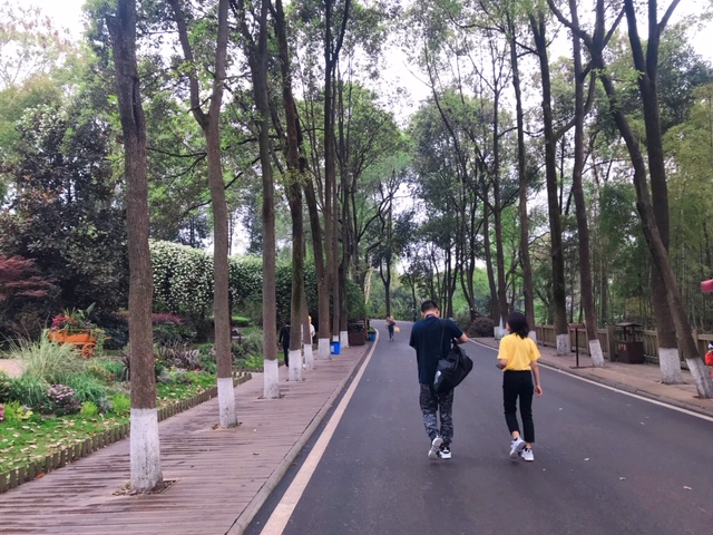 f:id:moonbow5:20190413211158j:plain f:id:moonbow5:20190413211158j:plain