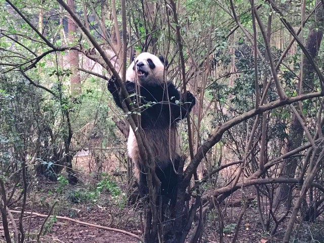f:id:moonbow5:20190414152924j:plain f:id:moonbow5:20190414152924j:plain