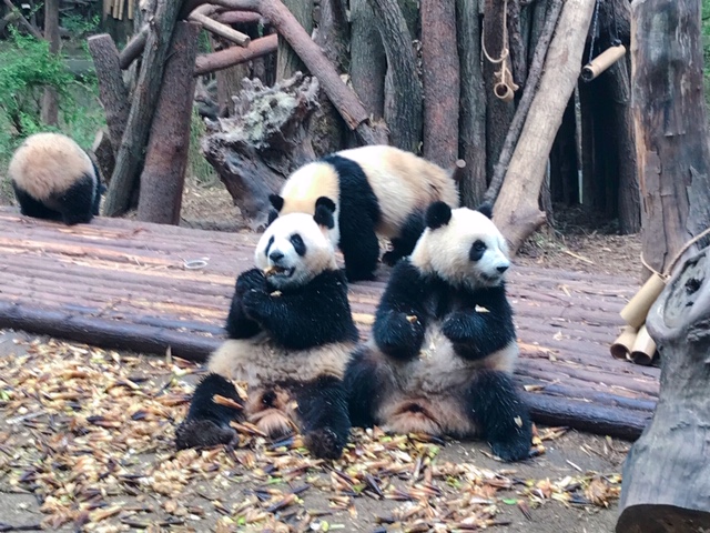 f:id:moonbow5:20190414152940j:plain f:id:moonbow5:20190414152940j:plain