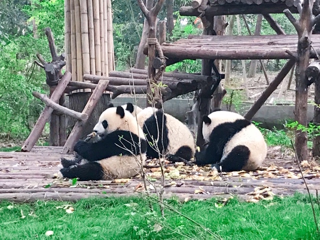 f:id:moonbow5:20190414153017j:plain f:id:moonbow5:20190414153017j:plain