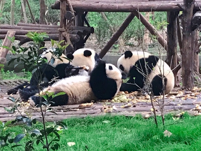 f:id:moonbow5:20190414153033j:plain f:id:moonbow5:20190414153033j:plain