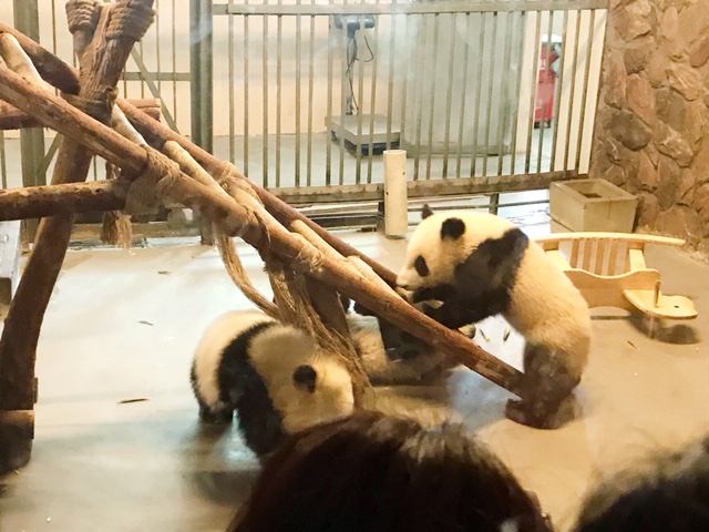f:id:moonbow5:20190414153321j:plain f:id:moonbow5:20190414153321j:plain