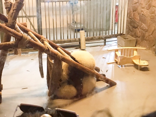 f:id:moonbow5:20190414153339j:plain f:id:moonbow5:20190414153339j:plain