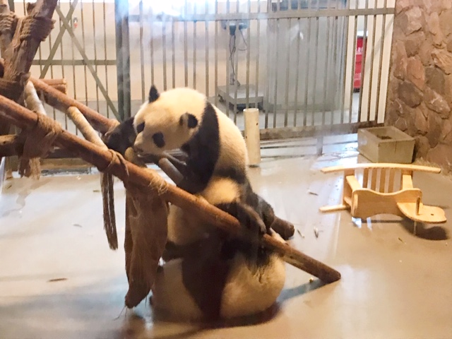 f:id:moonbow5:20190414153356j:plain f:id:moonbow5:20190414153356j:plain