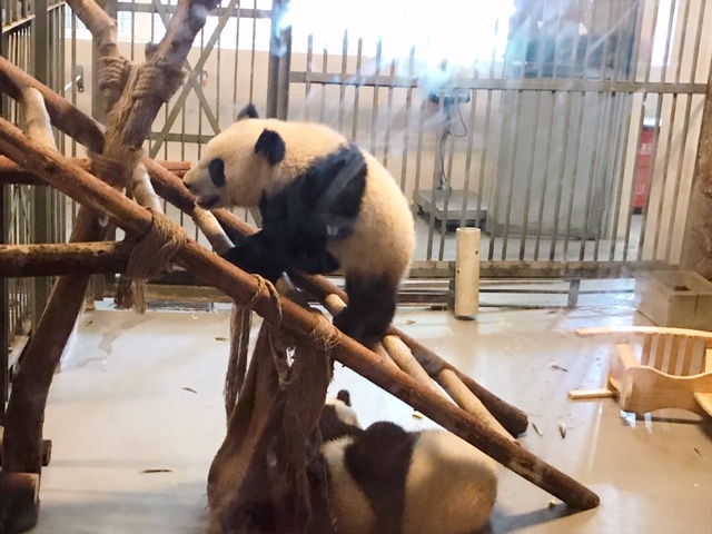f:id:moonbow5:20190414153414j:plain f:id:moonbow5:20190414153414j:plain