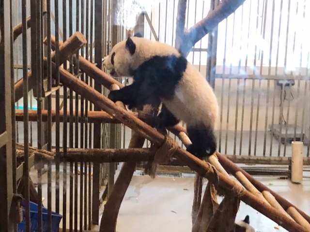 f:id:moonbow5:20190414153435j:plain f:id:moonbow5:20190414153435j:plain