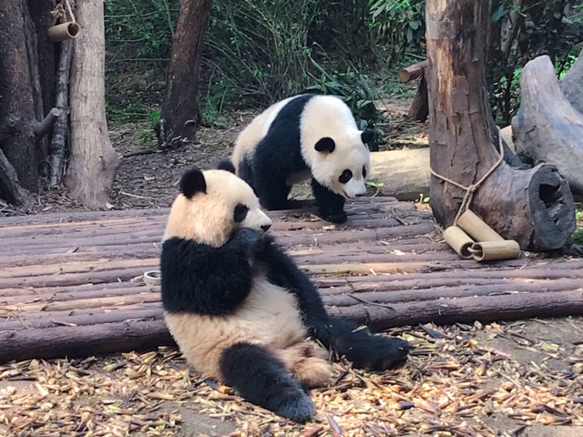 f:id:moonbow5:20190414153915j:plain f:id:moonbow5:20190414153915j:plain