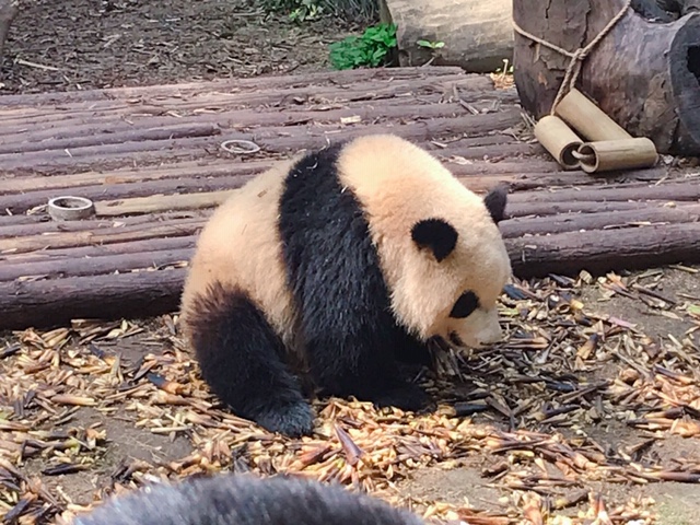f:id:moonbow5:20190414153958j:plain f:id:moonbow5:20190414153958j:plain