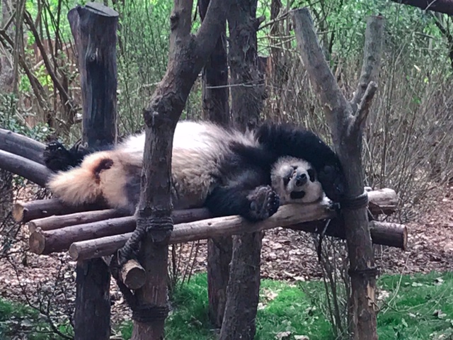f:id:moonbow5:20190414154511j:plain f:id:moonbow5:20190414154511j:plain
