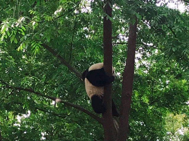 f:id:moonbow5:20190414154604j:plain f:id:moonbow5:20190414154604j:plain