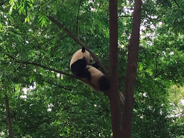 f:id:moonbow5:20190414154621j:plain f:id:moonbow5:20190414154621j:plain
