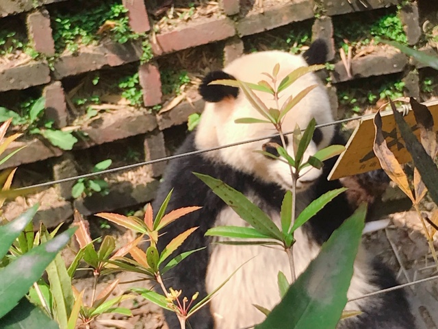 f:id:moonbow5:20190414155153j:plain f:id:moonbow5:20190414155153j:plain
