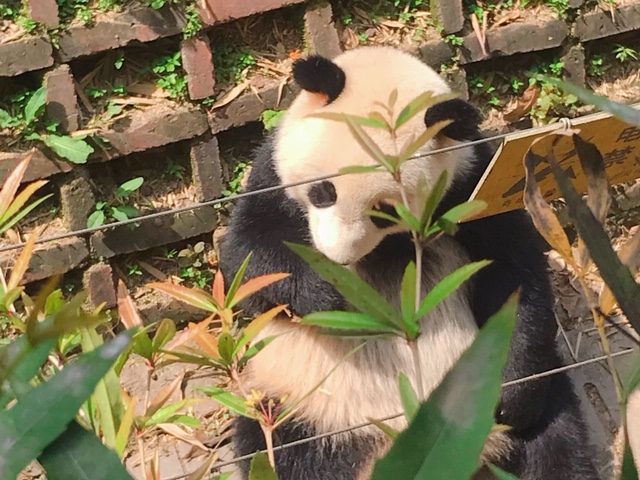 f:id:moonbow5:20190414155214j:plain f:id:moonbow5:20190414155214j:plain