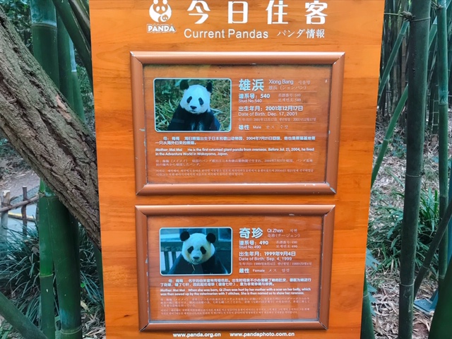 f:id:moonbow5:20190414161302j:plain f:id:moonbow5:20190414161302j:plain