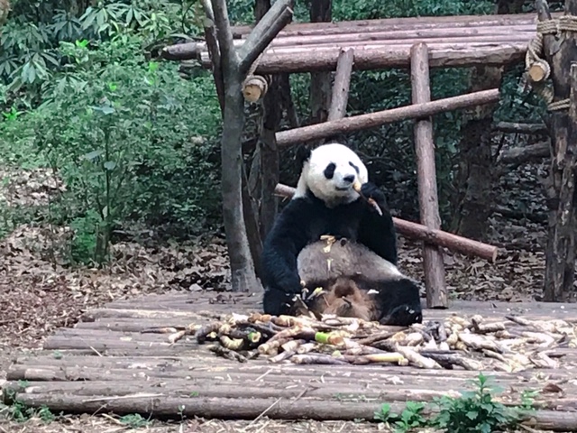 f:id:moonbow5:20190414161321j:plain f:id:moonbow5:20190414161321j:plain