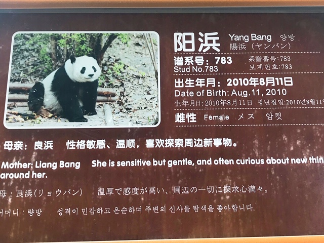 f:id:moonbow5:20190414161344j:plain f:id:moonbow5:20190414161344j:plain