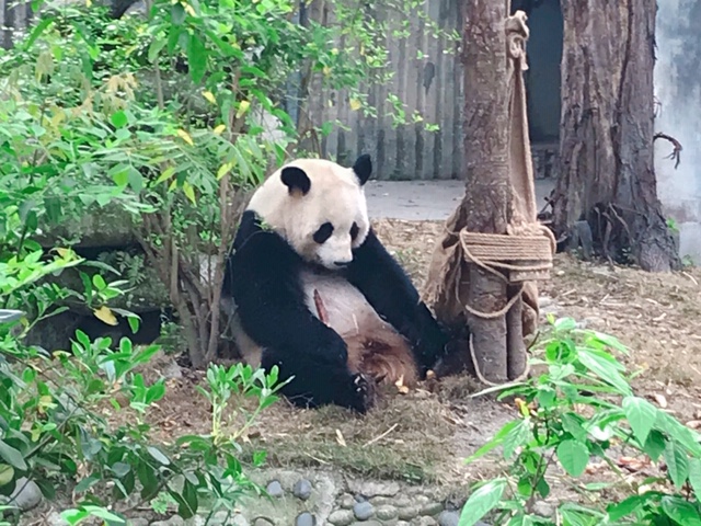 f:id:moonbow5:20190414161402j:plain f:id:moonbow5:20190414161402j:plain